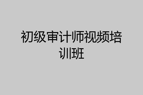 初级审计师视频培训班
