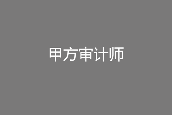 甲方审计师