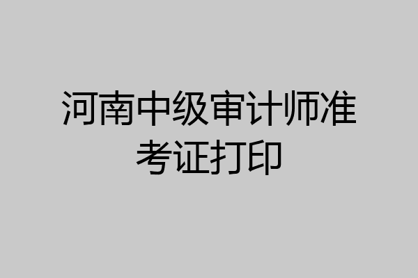 河南中级审计师准考证打印