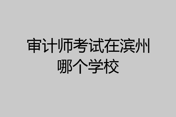 审计师考试在滨州哪个学校