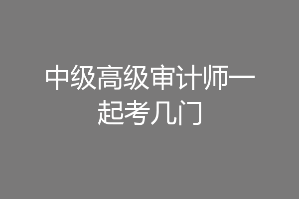 中级高级审计师一起考几门