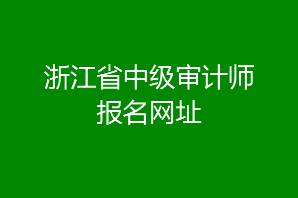 浙江省中级审计师报名网址
