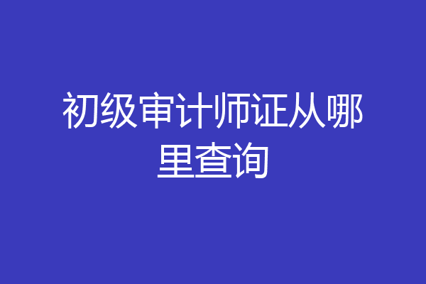 初级审计师证从哪里查询