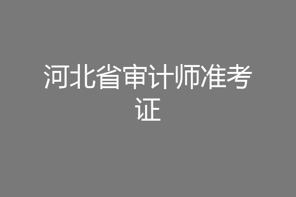 河北省审计师准考证