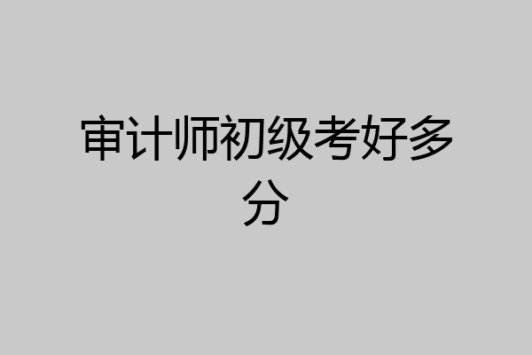 审计师初级考好多分