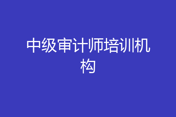 中级审计师培训机构