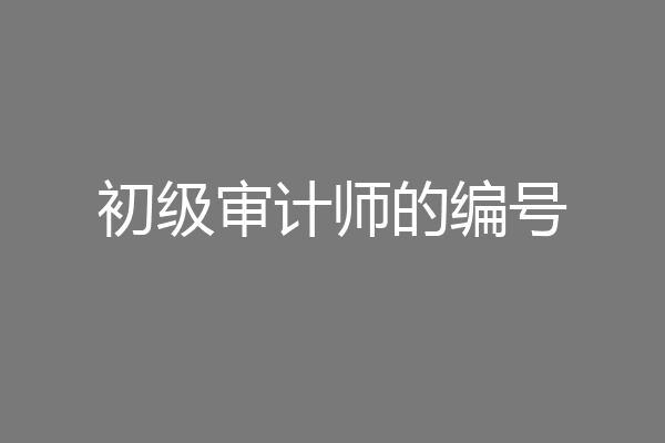 初级审计师的编号
