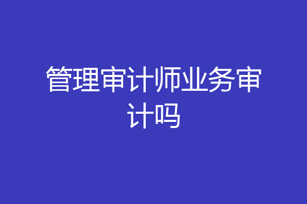 管理审计师业务审计吗