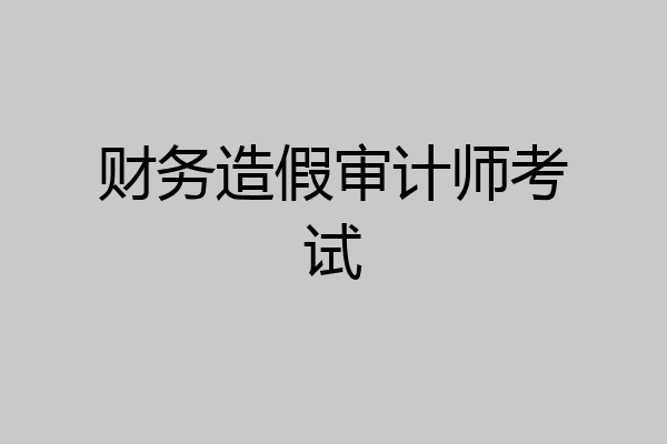财务造假审计师考试