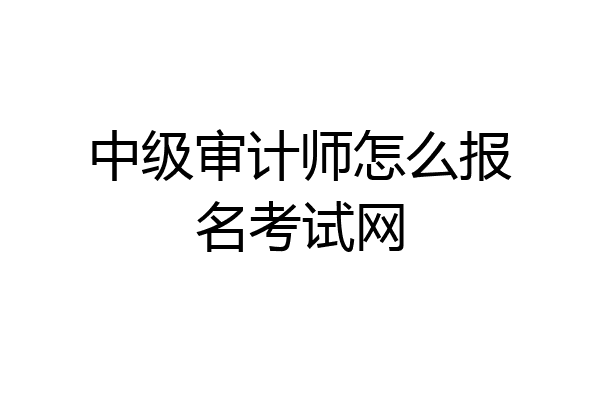 中级审计师怎么报名考试网