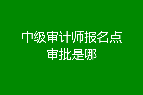 中级审计师报名点审批是哪