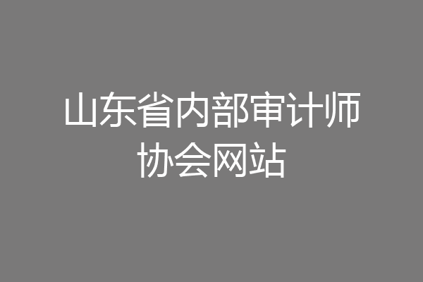 山东省内部审计师协会网站