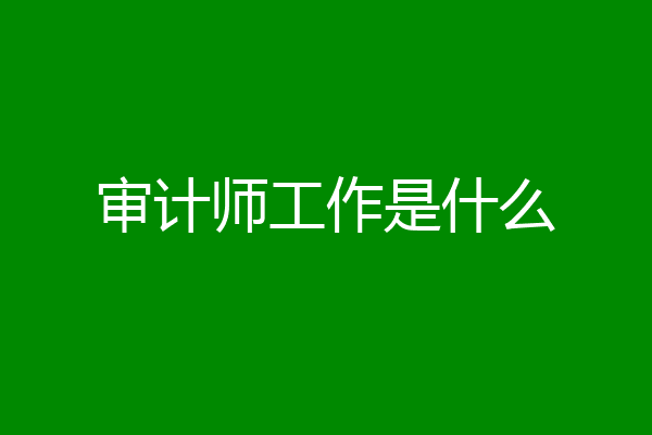 审计师工作是什么
