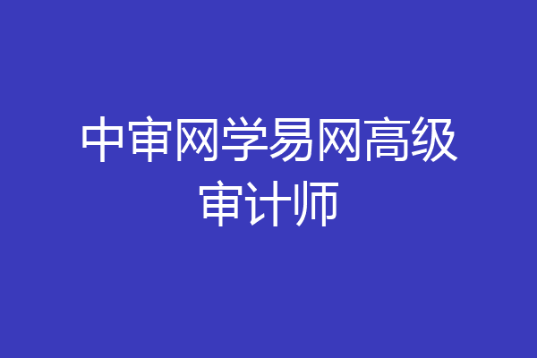中审网学易网高级审计师