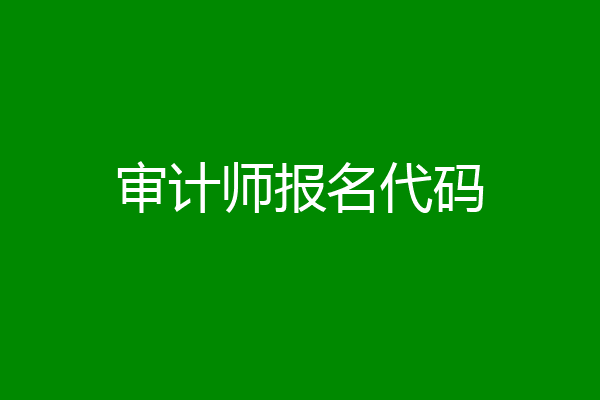 审计师报名代码