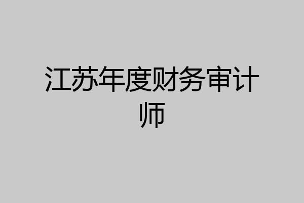 江苏年度财务审计师