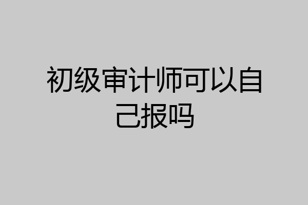 初级审计师可以自己报吗