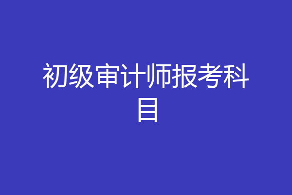 初级审计师报考科目