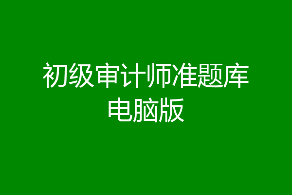 初级审计师准题库电脑版