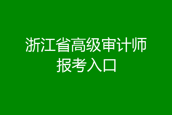 浙江省高级审计师报考入口