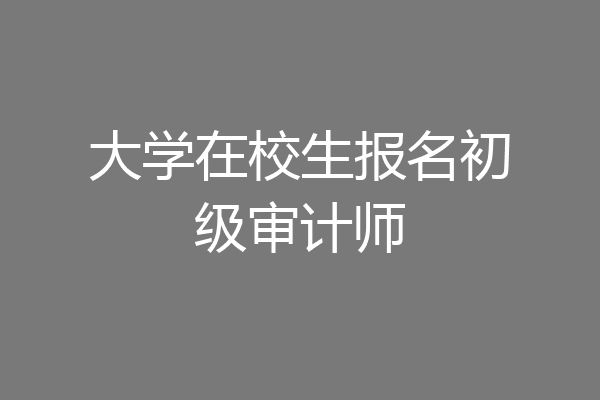 大学在校生报名初级审计师
