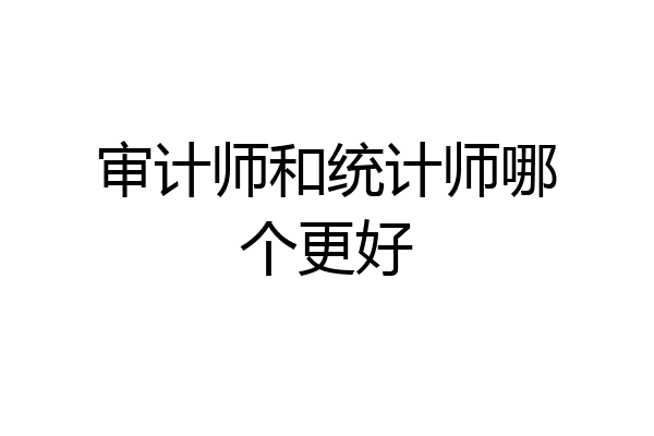 审计师和统计师哪个更好