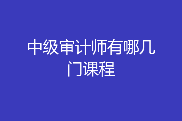 中级审计师有哪几门课程