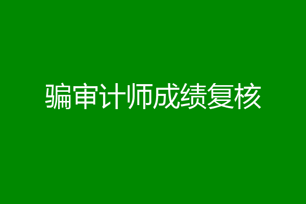 骗审计师成绩复核