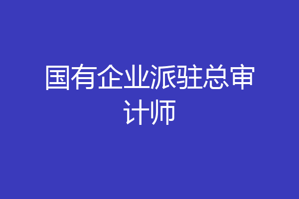 国有企业派驻总审计师