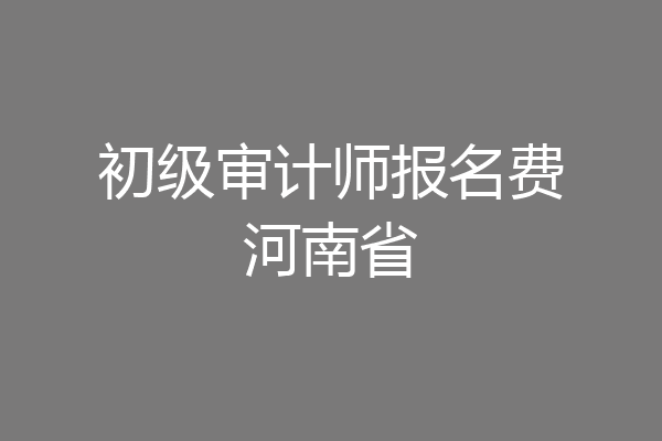 初级审计师报名费河南省