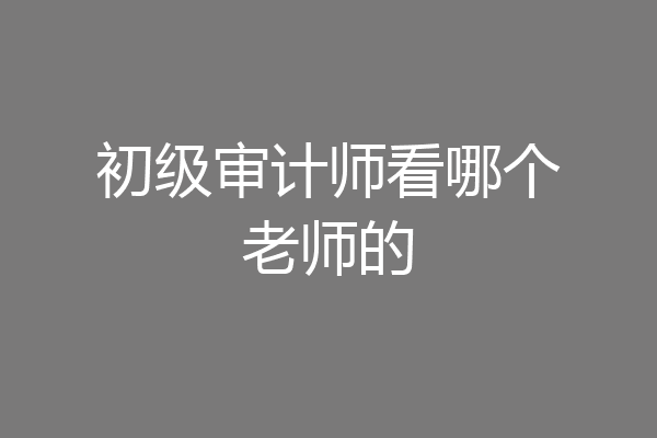 初级审计师看哪个老师的