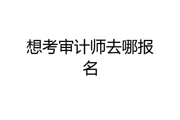 想考审计师去哪报名