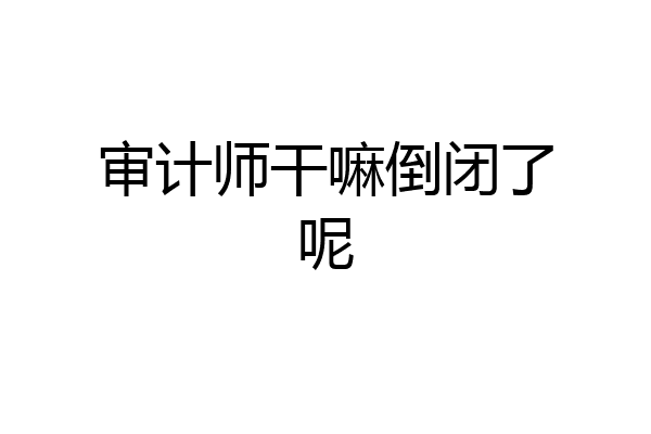 审计师干嘛倒闭了呢