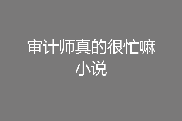 审计师真的很忙嘛小说
