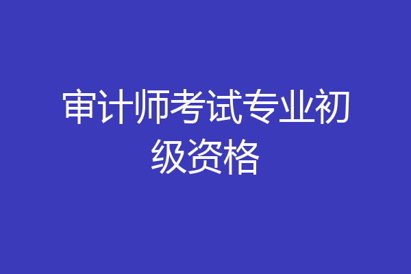 审计师考试专业初级资格