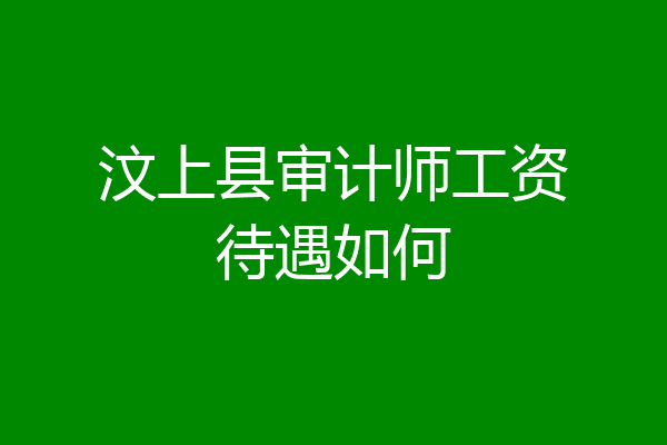 汶上县审计师工资待遇如何