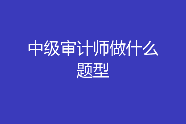 中级审计师做什么题型