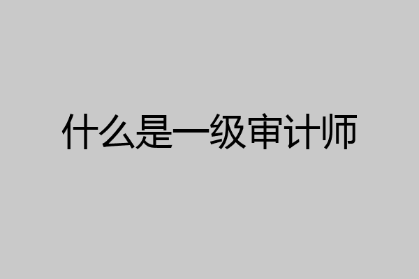 什么是一级审计师