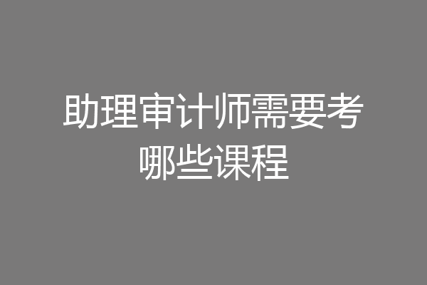 助理审计师需要考哪些课程