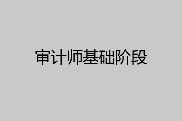 审计师基础阶段