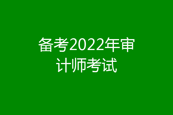备考2022年审计师考试