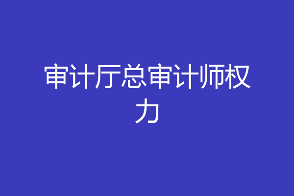 审计厅总审计师权力