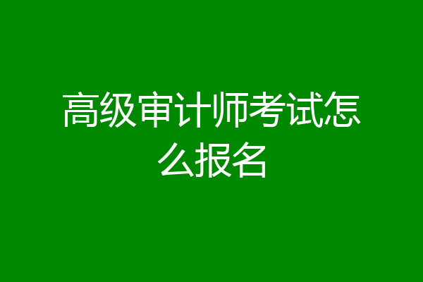 高级审计师考试怎么报名