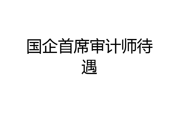 国企首席审计师待遇