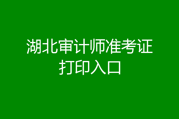 湖北审计师准考证打印入口