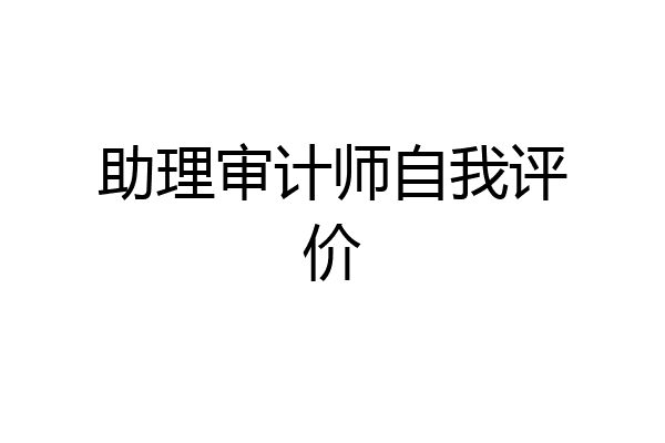 助理审计师自我评价