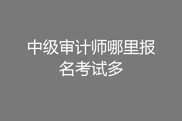 中级审计师哪里报名考试多