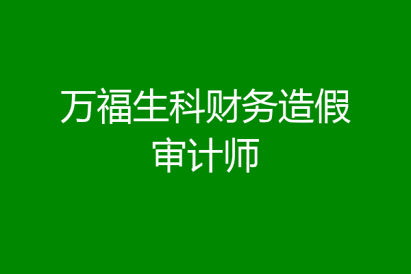 万福生科财务造假审计师