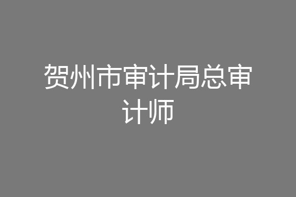 贺州市审计局总审计师
