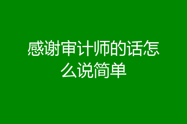 感谢审计师的话怎么说简单